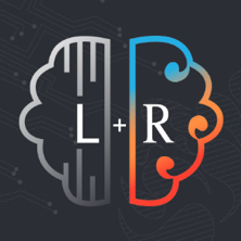 Left Brain Right Brain